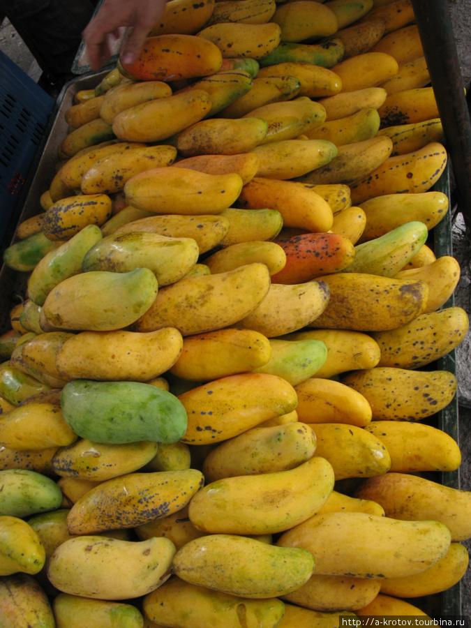 Длинные манго Серембан, Малайзия