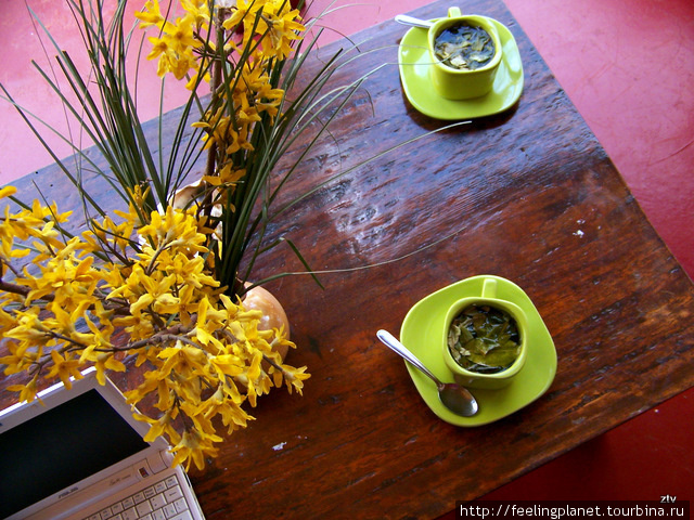 Очень вкусный чай из листиков коки Куско, Перу