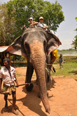 Махут (погонщик слона) идет рядом: слон ведь создание довольно своенравное.