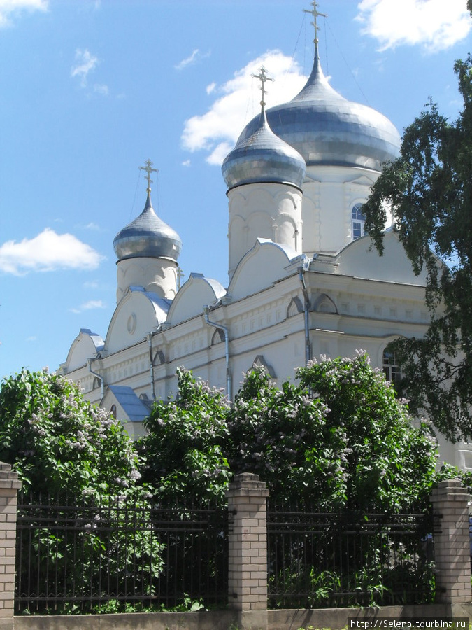 Николо- Вяжищский монастырь Новгородская область, Россия