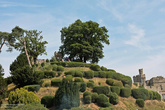 Мотт и бейли — на этом холме располагалась самая первая, деревянная крепость Уорик.