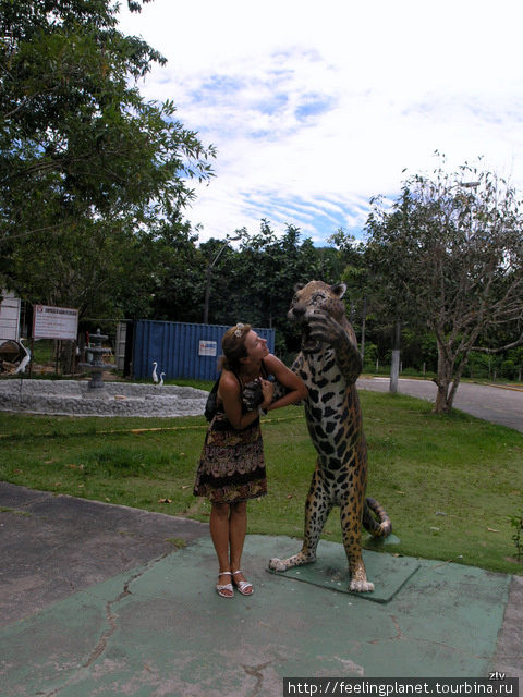 Неудачный поход в зоопарк — дали только на таких посмотреть Манаус, Бразилия