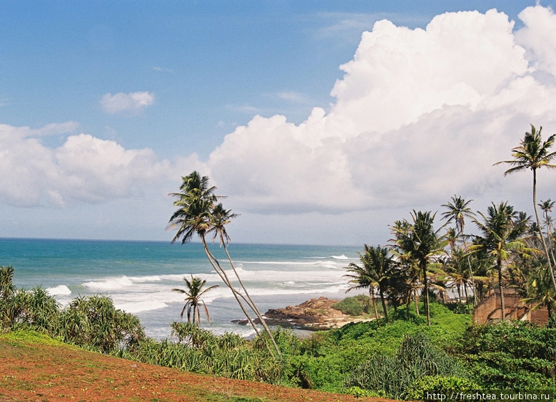 Окрестности красивейшей из бухт острова — Велигамы, чье название с местного переводится песчаное место. Песка здесь хватает, но в самой бухте, а на подступах к ней — скалы и валуны. Шри-Ланка