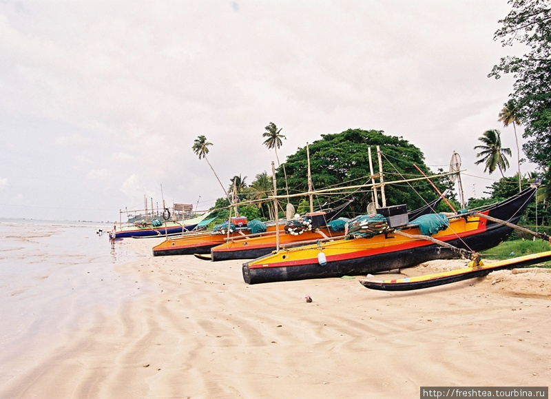 Как видно, в Велигаме штиль, правда, на берег, кроме пляжников претендуют местные рыбаки — здесь удобно ставить лодки... Шри-Ланка