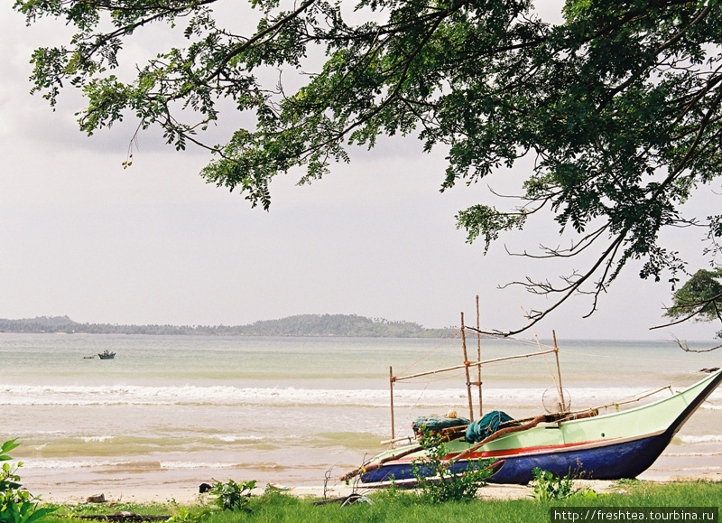 Вид на бухту Велигама с южной оконечности. Шри-Ланка