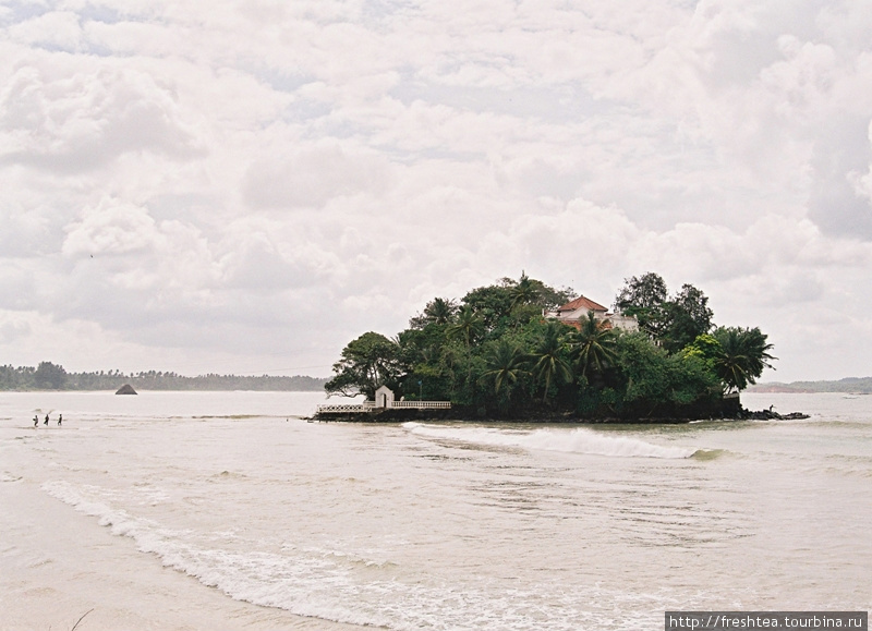 Этот остров заслуженно называют Райским, хоть он и доступен для простых смертных. Мы туда добрели по пояс в воде, как и эти рыбаки. Шри-Ланка