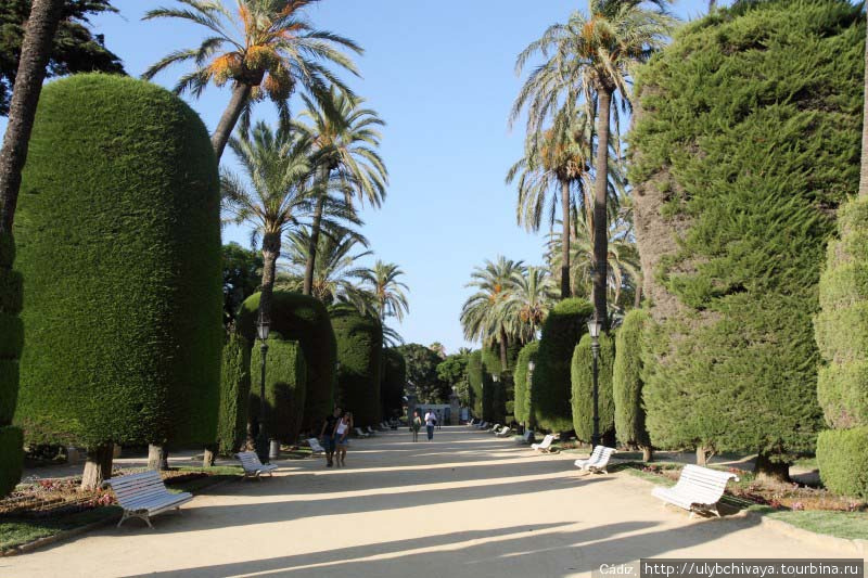 Ботанический сад Кадиса Кадис, Испания