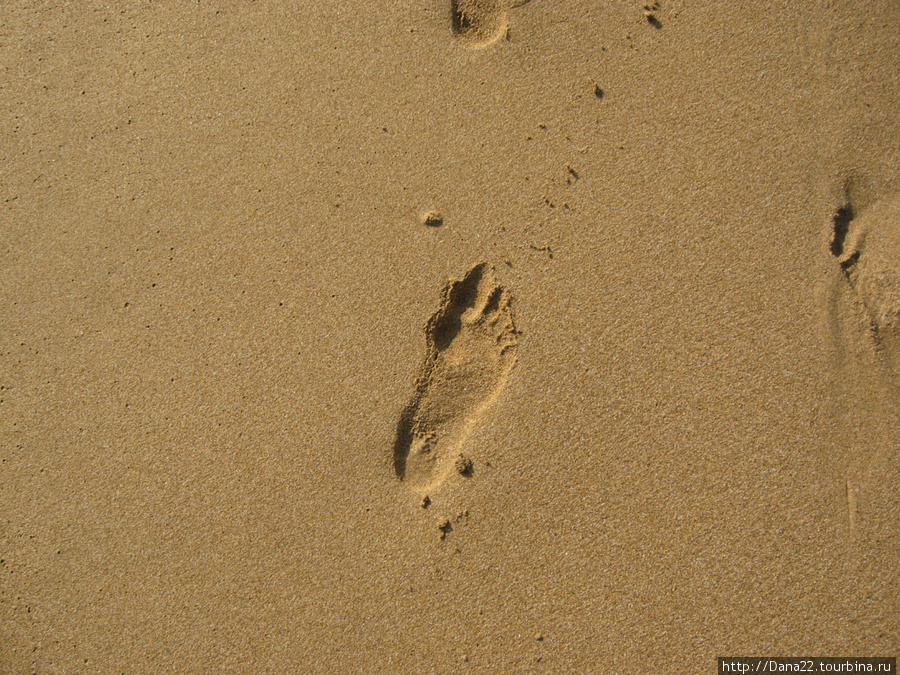 Мелкий песок — инжикум. Алания, Турция