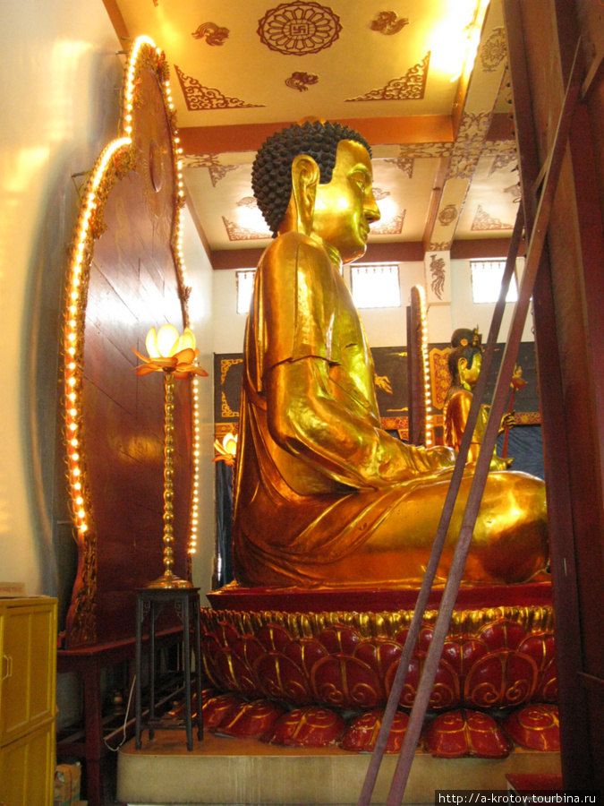 Будда Хошимин, Вьетнам