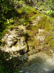 Сентябрь-2009. Поездка на Пшадские водопады. Вода, камни и мох