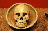 Череп в Археологическом музее в Пуэбле