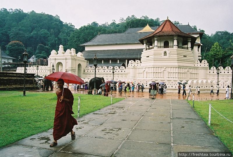 У Канди есть еще одна высокая миссия — это оплот буддизма и особое место для последователей учения: здесь в храме Далада Малигава хранится главная реликвия буддистов — Священный Зуб Будды. Шри-Ланка
