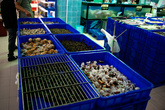 Близость моря можно увидеть и на ассортименте магазинов, можно купить десятки видов рыбы и всевозможных морепродуктов. Некоторые особо ретивые морепродукты убегают из лотков и их притаптывают решёткой.