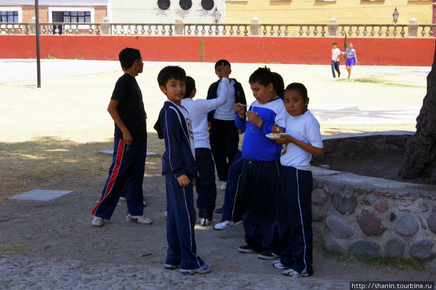 Школьники под деревом Пуэбла, Мексика