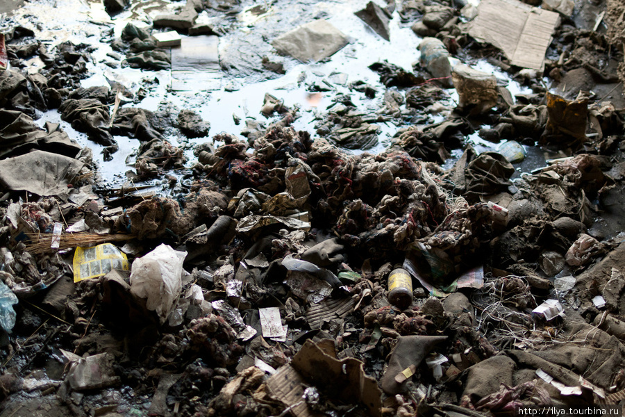 Еще сложнее привыкнуть к кучам дерьма и разлагающегося мусора под ногами. Кабул, Афганистан