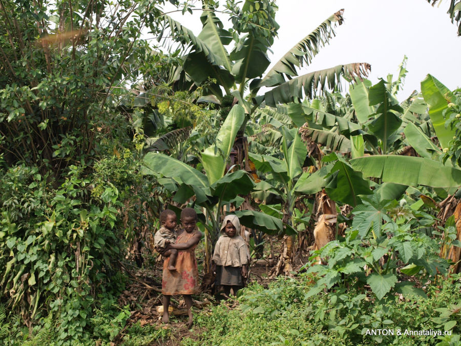 Дети из домов посреди банановых плантаций Озеро Нкуруба, Уганда