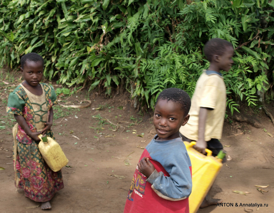 Дети идут за водой Озеро Нкуруба, Уганда