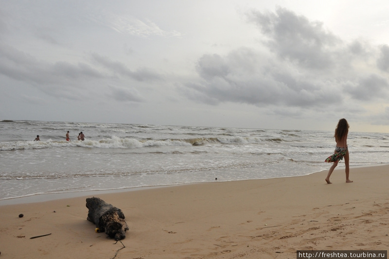 Пляжи в Берувеле для романтических натур — не только место для купаний. Для променада они тоже очень хороши! Шри-Ланка