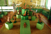В музее на руинах Кочитекатля