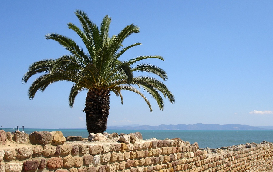 Былая слава и история великого Карфагена Вилайет Тунис, Тунис