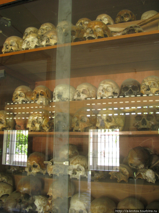 В шкафчике за стеклом — черепа Пномпень, Камбоджа
