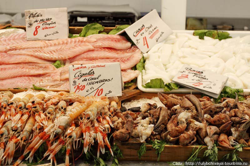Кадис и морепродукты Кадис, Испания