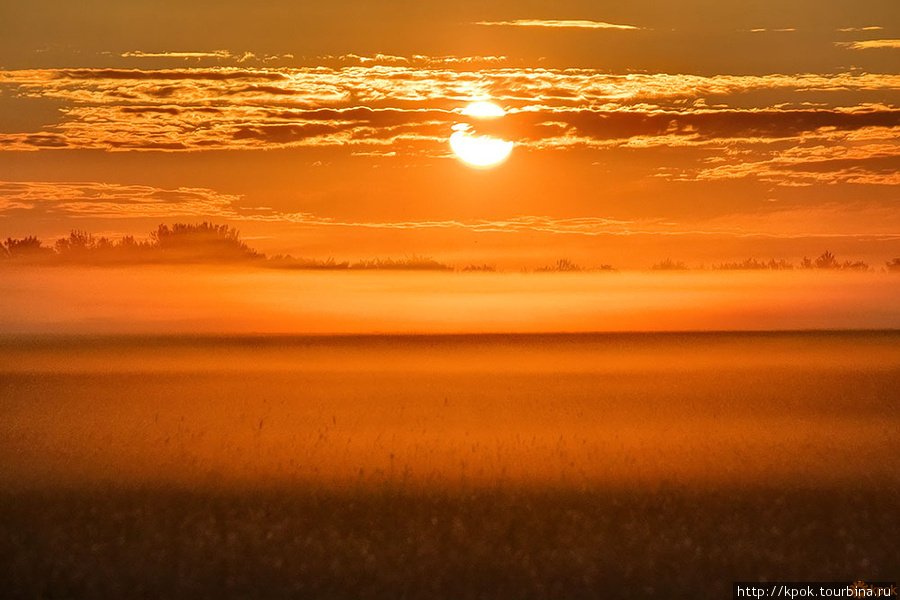 Рассвет на туманном лугу Урюпинск, Россия
