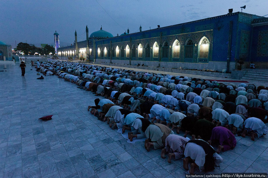 Вечерняя молитва. Мазари-Шариф, Афганистан