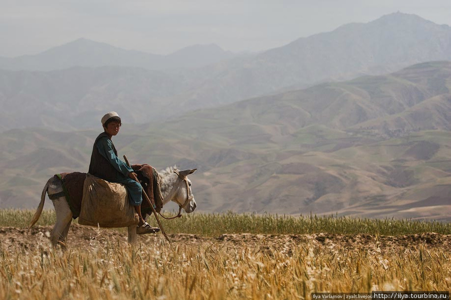 В Афганистане никогда небыло особо развитого сельского хозяйства. В суровых климатических условиях, при недостатке земель, крестьяне едва могли прокормить себя сами. Советский Союз пытался развить какую-то промышленность, но с уходом наших войск Афганистан стремительно скатился обратно к своему статусу аграрной страны. Файзабад, Афганистан