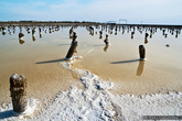 Добыча соли на озере Баскунчак
