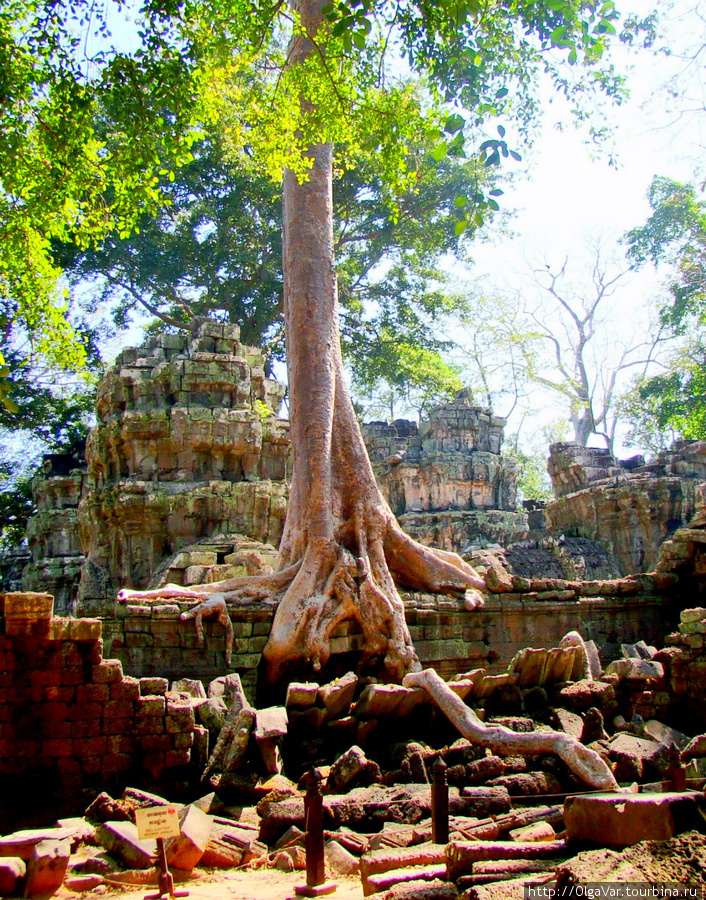 При строительстве сводов кирпичи укладывали один поверх другого, пока они не достигали центральной точки, формируя фальшивый свод Ангкор (столица государства кхмеров), Камбоджа
