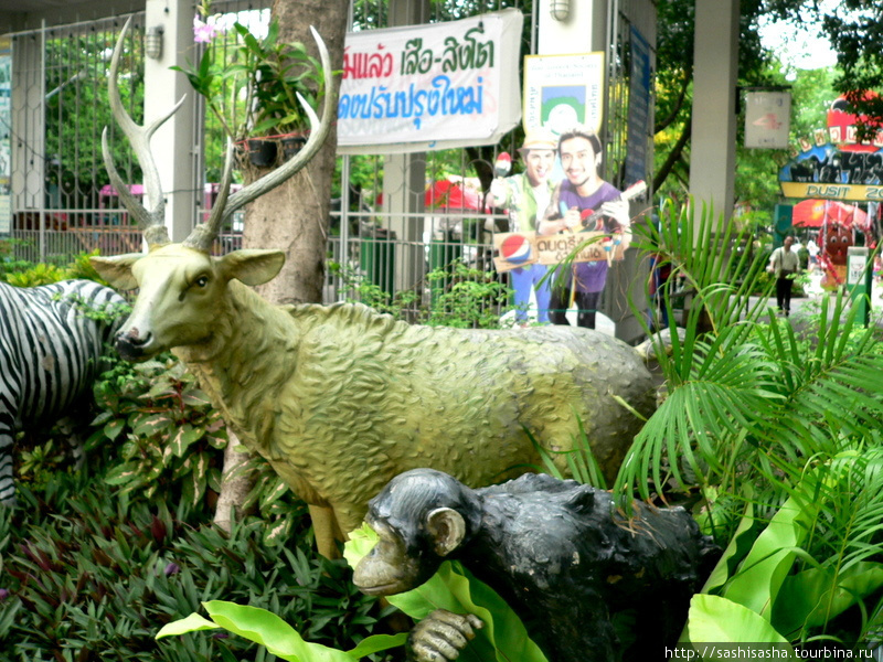 Бангкокский зоопарк, или есть тут кто живой? Бангкок, Таиланд