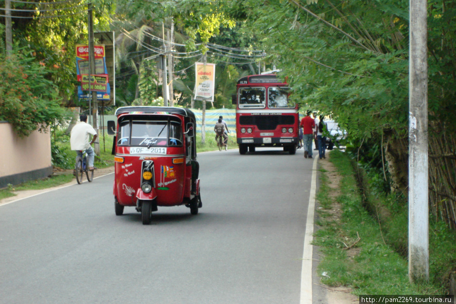 разный общественный транспорт Шри-Ланка