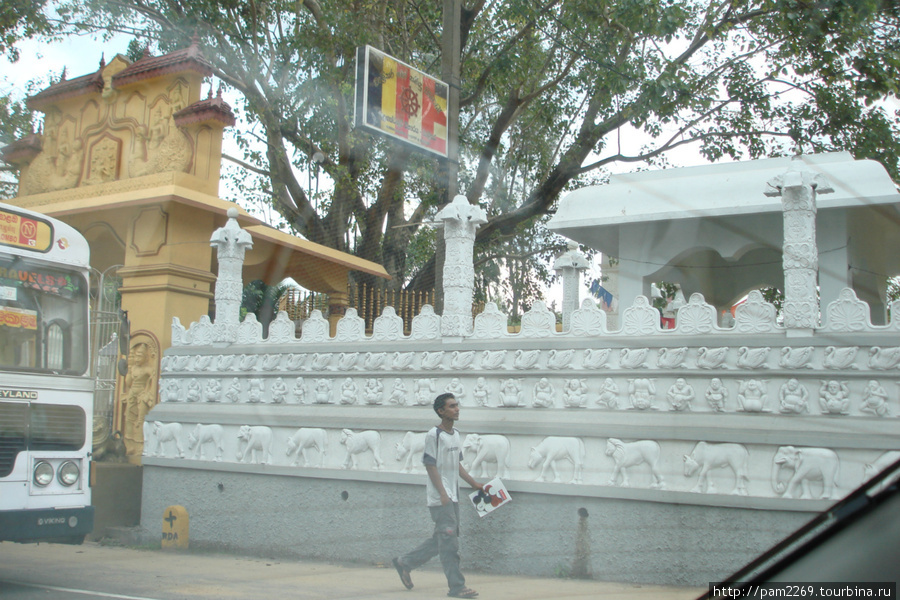 будистский храм Шри-Ланка