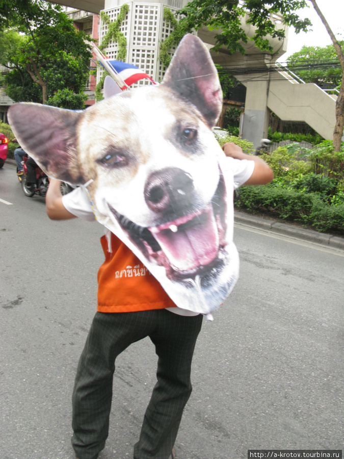 против зверей в парламенте Бангкок, Таиланд