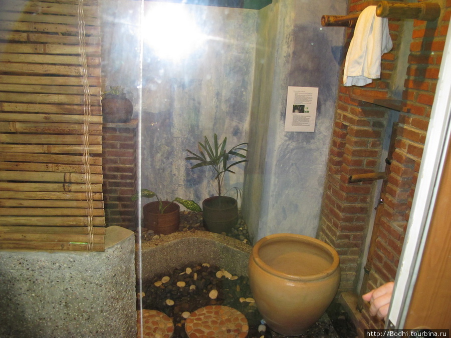 Тот же Eco Lodge — зато там прикольные ванны-туалеты. Мебель вся сделана вручную из бамбука. Медан, Индонезия