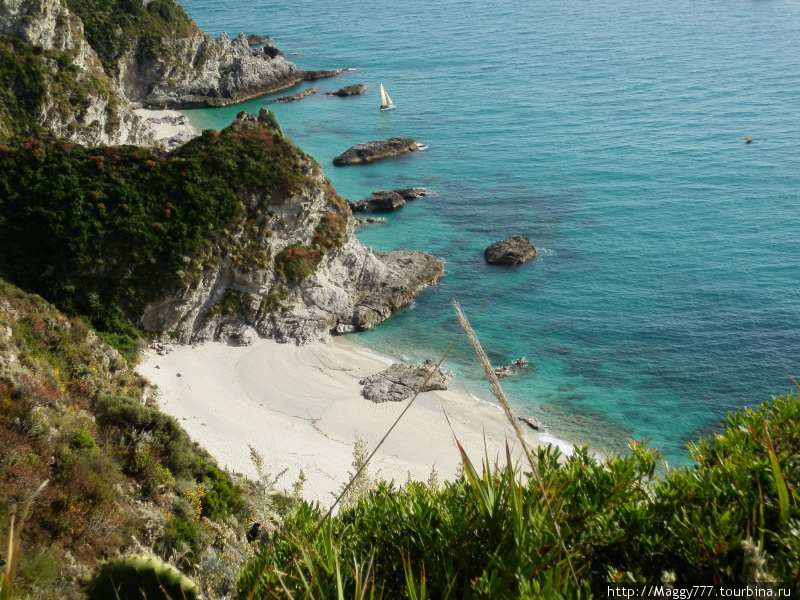 Cинее море, белый песок, скалистые берега, пиниевые леса. Калабрия, Италия
