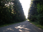 Дорога возле села Голунь.