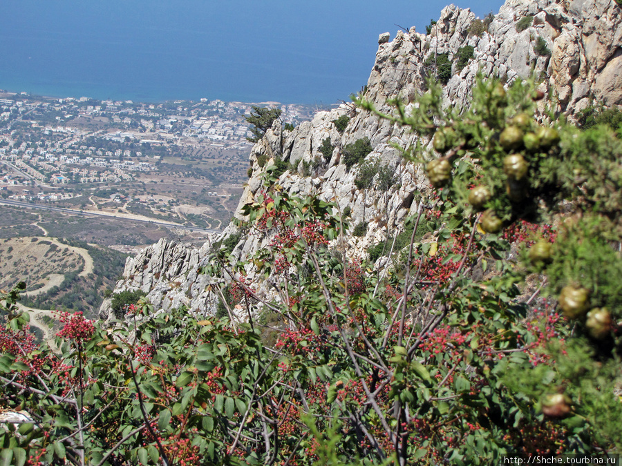 Вид с гор на Кирению Турецкая Республика Северного Кипра