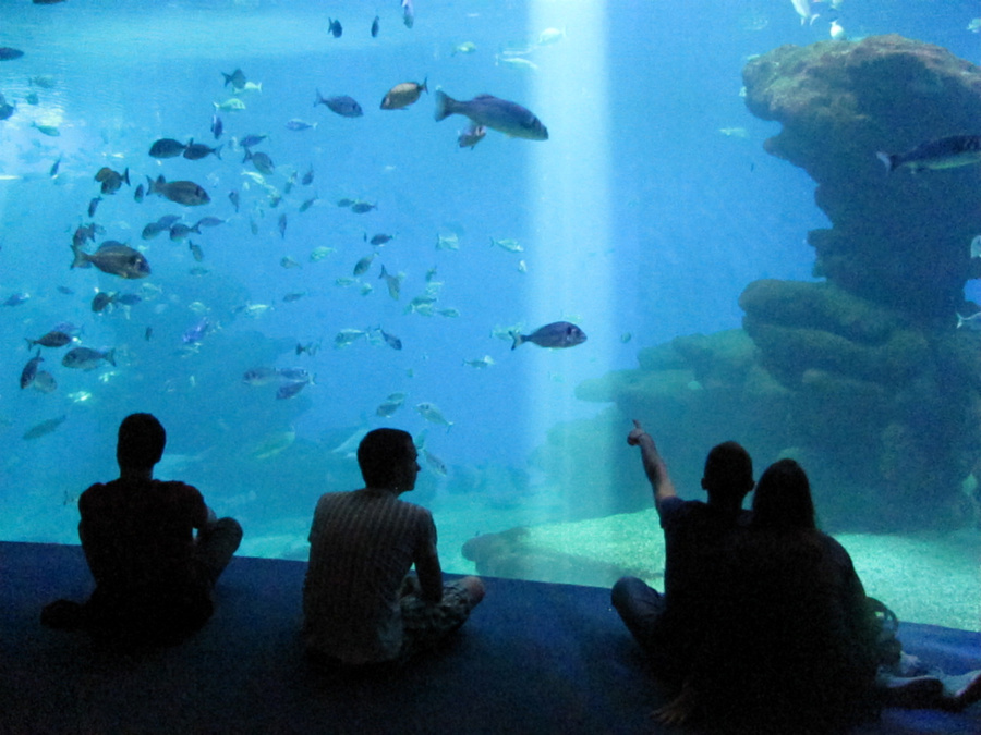 Большой аквариум Big Blue Пальма-де-Майорка, остров Майорка, Испания