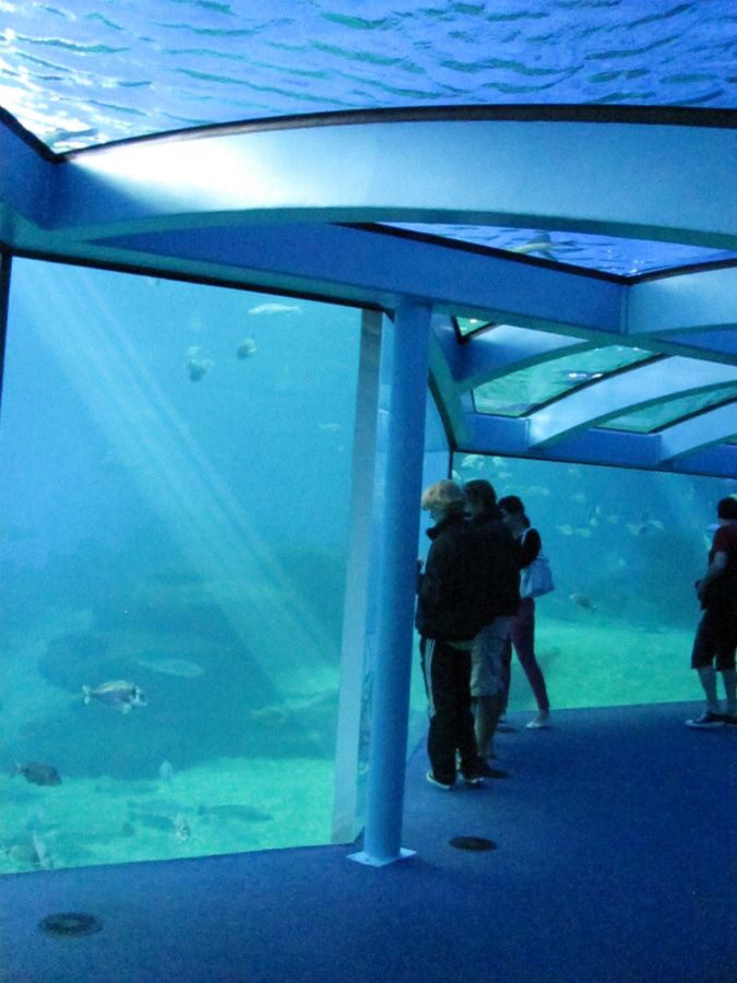 В океанариуме Palma Aquarium Пальма-де-Майорка, остров Майорка, Испания