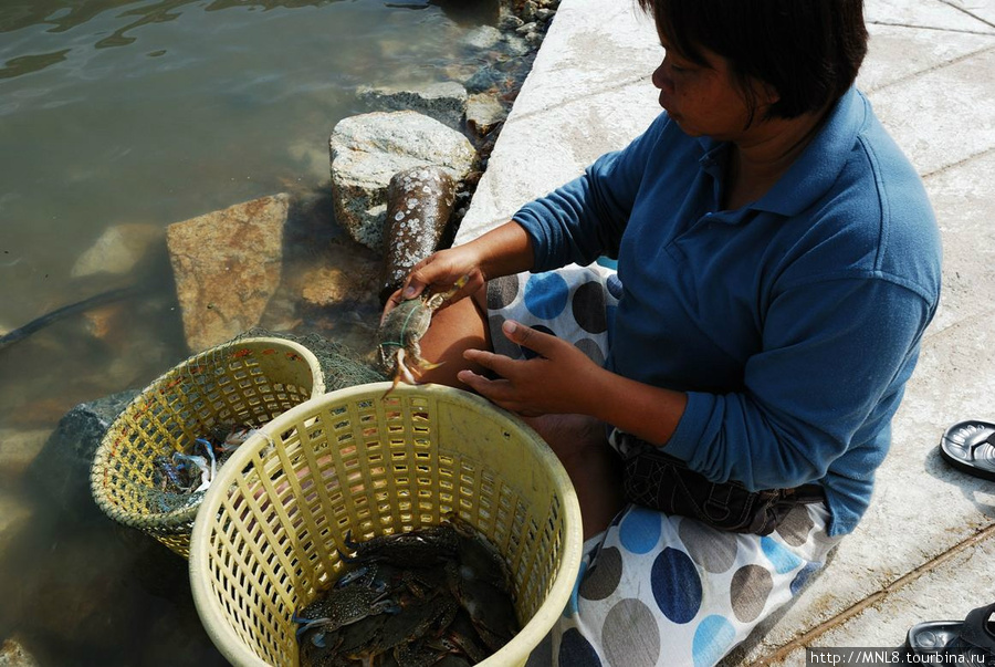 Рыбный рынок Паттайи Паттайя, Таиланд