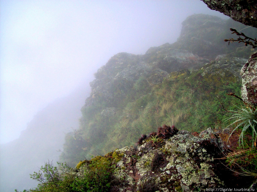 Временами ничего не видно из-за мнгновенно опустившегося тумана Писак, Перу