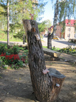 Мышиное дерево перед музеем