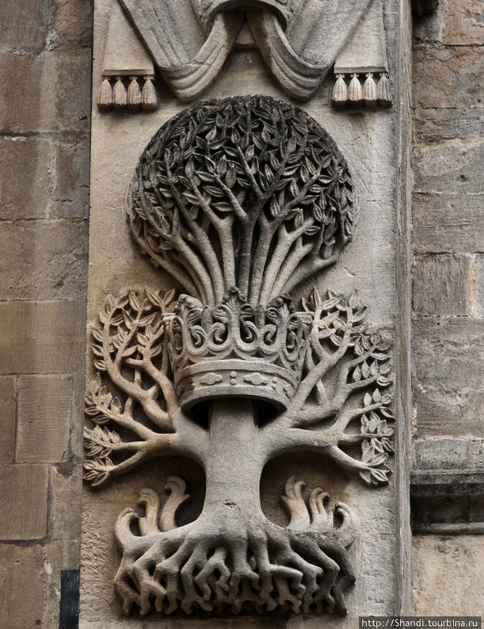 Коронованное дерево Великобритания