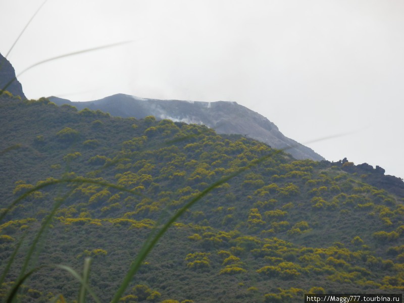 Вулканические почвы очень плодородны Остров Стромболи, Италия