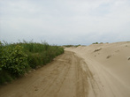Дорога на пляж Маркизы, playa de La Marquesa.