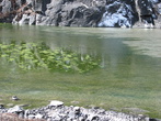 Первое озеро. В нем есть клевые водоросли
