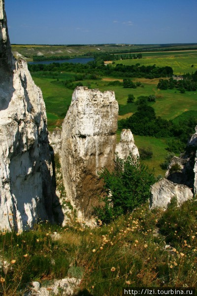 Меловые скалы Белокузьминовка, Украина