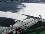 Минут 20 мы наблюдали, как корабль на малом ходу таранит лед, толщиной до полуметра..